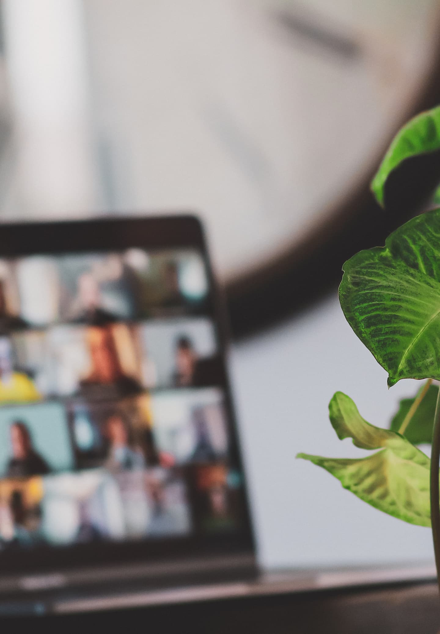 ウェブのミーティング