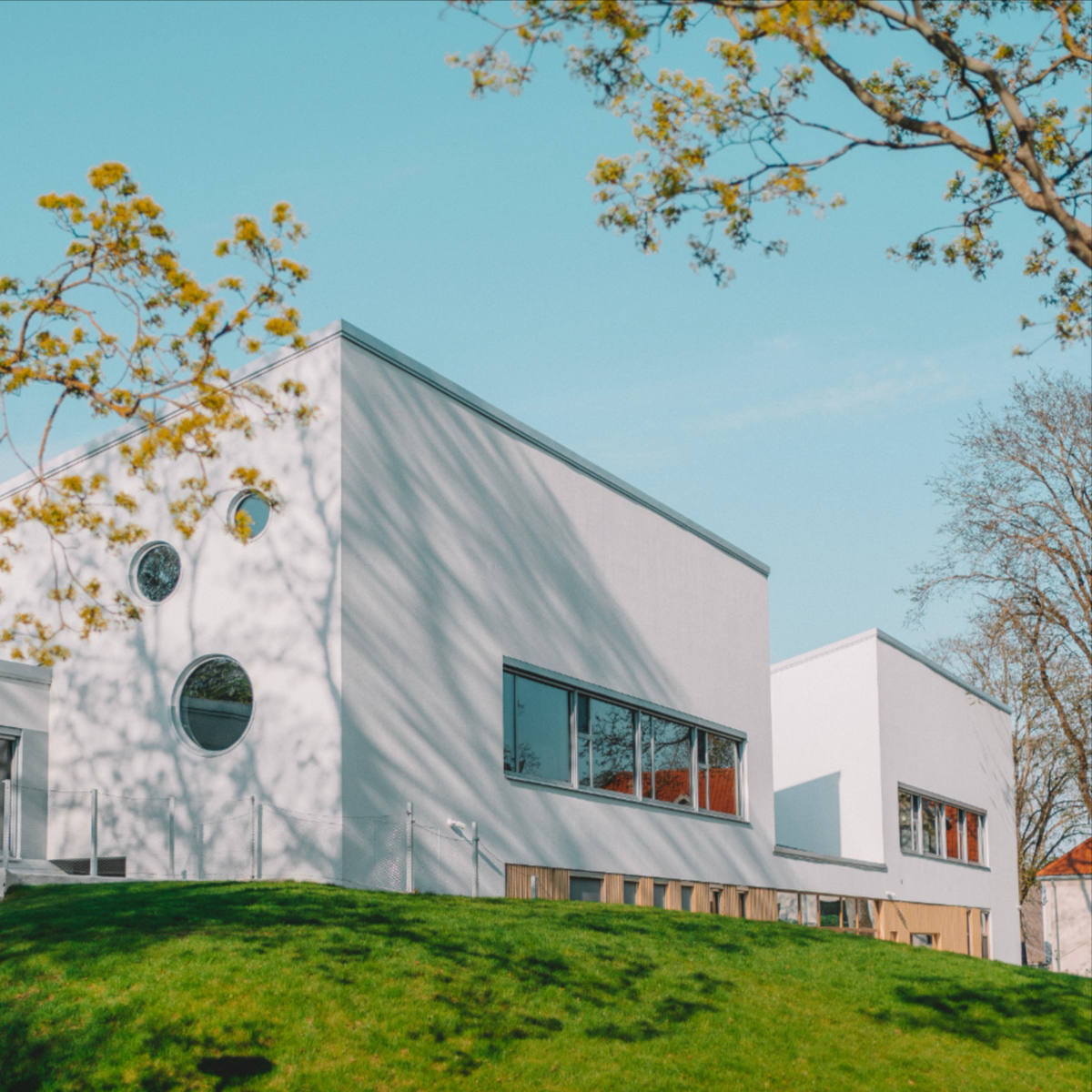 白い箱の家と植栽