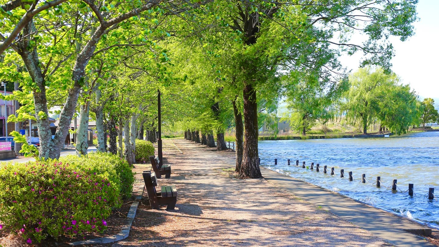 自然豊かな景観の公園風景